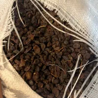 کشمش اصل تاکستان|خوردنی و آشامیدنی|تهران, بازار|دیوار