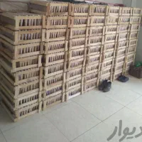 عسل|عمده‌فروشی|اردبیل, |دیوار