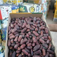 بازاریاب فروش خرما