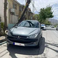 ۲۰۶ اتومات ۸۹ سالم کم کار