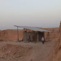 اجاره زمین کشاورزی  ۷ هکتار|اجارهٔ دفتر صنعتی، کشاورزی، تجاری|برازجان, |دیوار