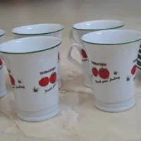 فنجون نعلبکی
