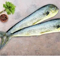 مرغ منجمد و ماهی جنوب تازه|خوردنی و آشامیدنی|نیشابور, کوی فرهنگیان|دیوار