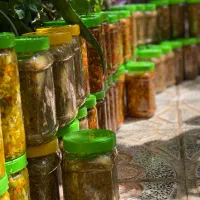 ترشی خونگی مخلوط و گوجه و لیته|خوردنی و آشامیدنی|تهران, جنت‌آباد مرکزی|دیوار