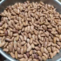 برنج و خرده برنج و حبوبات|خوردنی و آشامیدنی|شیراز, ماه فیروزان|دیوار