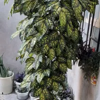 گل مصنوعی دیفن