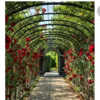 طراحی و اجرای فضای سبز