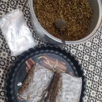 لوبیا سبز|خوردنی و آشامیدنی|کرج, شهرک سهرابیه|دیوار