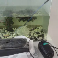 آکواریوم شیشه خم به همراه تمام وسائل و ماهی‌ها