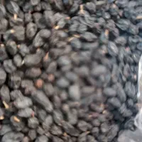 کشمش ومویز|خوردنی و آشامیدنی|نیشابور, شریعتی|دیوار