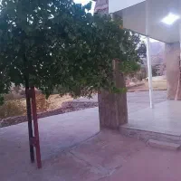 خانه ی اجاره ای|اجارهٔ خانه و ویلا|پاتاوه, |دیوار