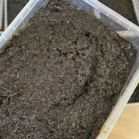 سبزی خورشتی خام،آبپز،سرخ شده کامل،سبزی آشی،