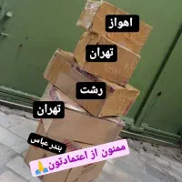 جوانه گندم