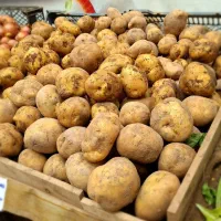 سیب‌زمینی به شرط پخت کیفیت عالی و تضمینی