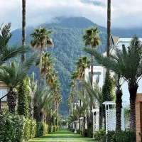 ویلا ساحلی و شهرکی که دل یه ایرانو برده و یکه تازه