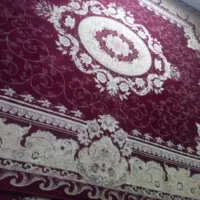 فرق و قالی|فرش|طاغنکوه, |دیوار