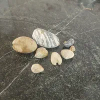 صدف های قدمتی