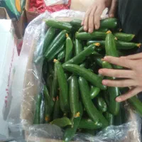 کارگر میوه فروشی ماهر