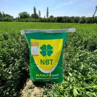 تخم بذر یونجه صادراتی|عمده‌فروشی|خرم‌آباد, |دیوار