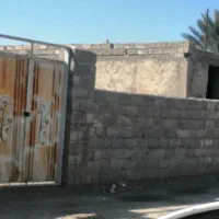 زمین سندتک برگ  . ارزوییه .