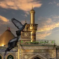 تورزیارتی کربلا نجف