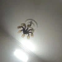 لوستر چوبی ۸ شاخه ۱ جفت