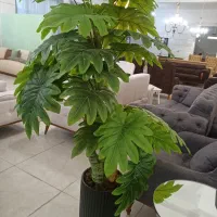 گل خارجی قابل شستشو