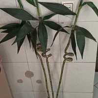 بامبو مصنوعی