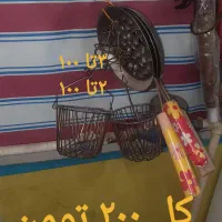 قفسه و وسایل مغازه|حراج|ورامین, شهرک مدرس|دیوار