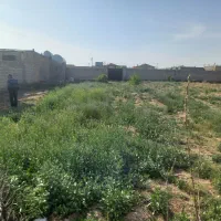 زمین دور دیوار کلاکوب|فروش زمین و ملک کلنگی|مشهد, کلاکوب|دیوار