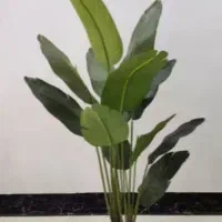 درخت،درختچه پرنده بهشتی مصنوعی عمده