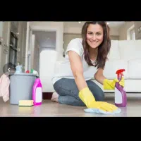 نیرو جهت نظافت و امور منزل.