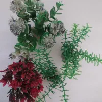 گیاه آکواریوم ماهی