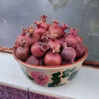 انارهای طبیعی و خشک جهت استفاده در کار تزئیناتی