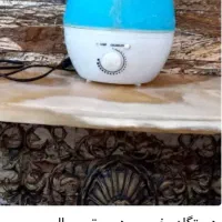 ظرف|ظروف سرو و پذیرایی|قم, شاه سید علی|دیوار