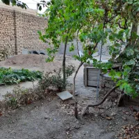 فروش مغازه 200متری|فروش مغازه و غرفه|شازند, |دیوار