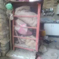 ۷۰۰۰۰۰۰۰|پرنده|ایرانشهر, |دیوار