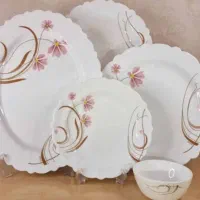 سرویس ارکوپال