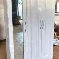 جاکفشی بزرگ و زیبا