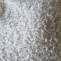 برنج کشت دوم فریدونکنار ۱۰۰ درصد خالص