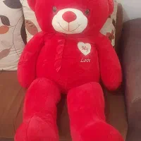 خرس نو بدون استفاده