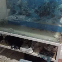 لوازم خانگی|مبلمان خانگی و میز عسلی|پاکدشت, پاکدشت (مامازند)|دیوار