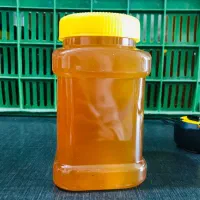 عسل طبیعی شمال ایران