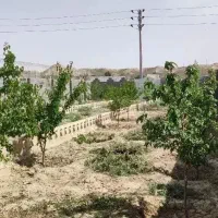 زمین-باغی-مسکونی-آب-برق-گاز-شاهنامه-مجتمع-دیاکو