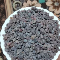 کشمش آذربایجان ملکان|خوردنی و آشامیدنی|ری, دولتآباد|دیوار