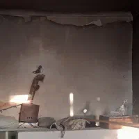 10عدد کبوتر|پرنده|خوی, |دیوار