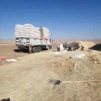 کاه گندم دیم