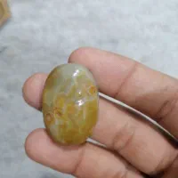 فروش عرج بحری هبهاب خطی سلطانی داودی هبهاب|جواهرات|شوش, |دیوار