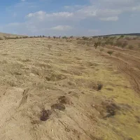 جا خونه بلوار جمهوری بین صالح اباد و امیر اباد