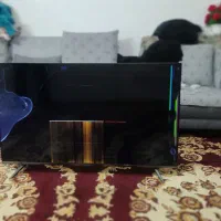 تلویزیون
